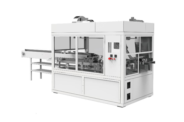 Solutions For Automatic Case Packer and Robot Palletizers